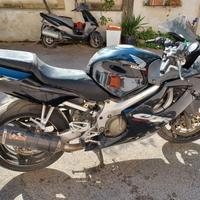 Honda CBR 2005