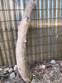 Tronchetto di legno di bosso