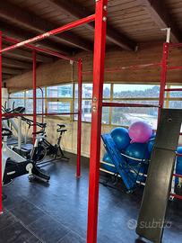 Gabbia palestra professionale