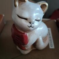 Gatto Thun 