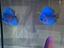 Immagine 5