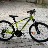 Bici bambino 24’