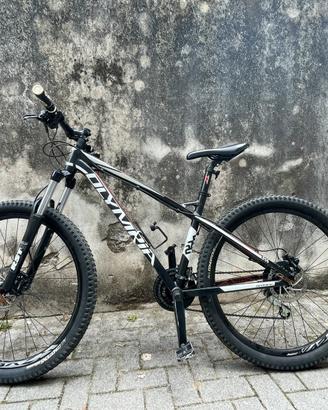 Montain bike Olympia Drake