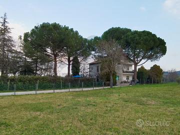 Indipendente a Rimini