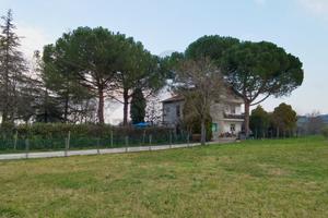 Indipendente a Rimini