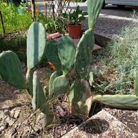 A NONANTOLA MODENA DA CRESCERE 