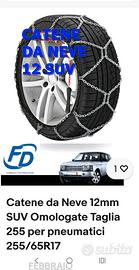catene da neve