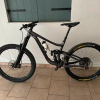 Giant Reign 1 29r