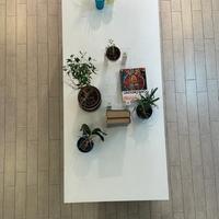 mobili ufficio/casa/studio + cubi espositor