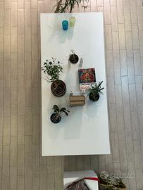 mobili ufficio/casa/studio + cubi espositor