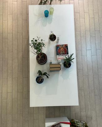 mobili ufficio/casa/studio + cubi espositor