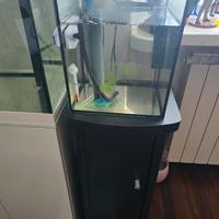 acquario 20 lt con mobile 