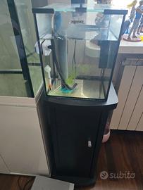 acquario 20 lt con mobile 