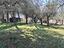 Immagine 19