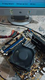 scheda madre Asus P5B-LA CPU Intel core 2- 2.13ghz