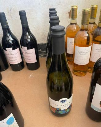 Bottiglie di vino bianco/ rosso sigillate