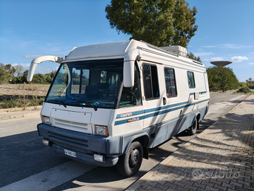 Camper Italia Diapason 711 td