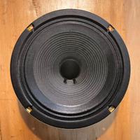 Altoparlante T-power