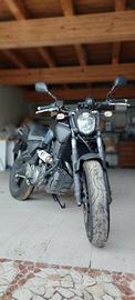 Yamaha MT-03 - 2007