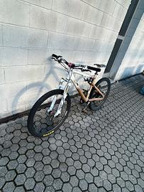 Mtb rose