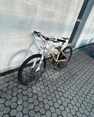 Mtb rose