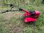 Immagine 3