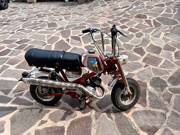 Mini bike benelli