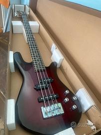 Basso Spector  black- cherry standard