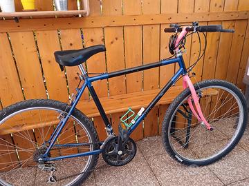 bicicletta MTB 