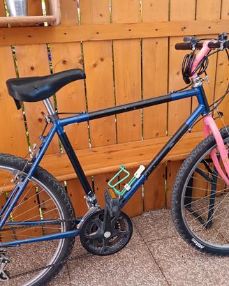 bicicletta MTB 