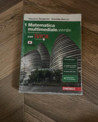Matematica Multimediale Verde 1