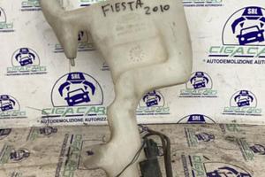 FORD FIESTA 2010 VASCHETTA ACQUA TERGICRISTALLI
