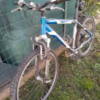 BICICLETTA GRANDIS