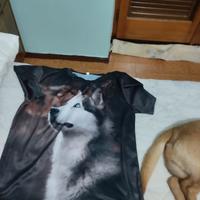 tshirt