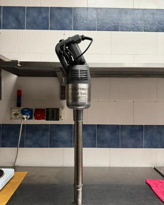 Mixer ad immersione professionale Robot Coupe