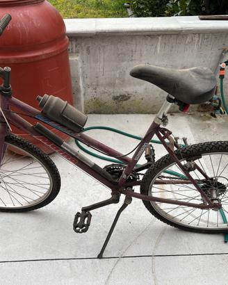 Bicicletta
