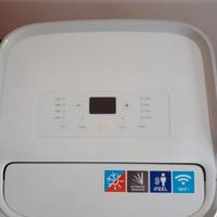 Climatizzatore portatile WIFI (caldo e freddo)