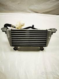 RADIATORE OLIO ORIGINALE COMPLETO DI TUBI PER BMW 