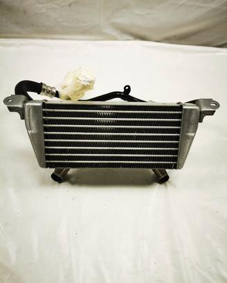 RADIATORE OLIO ORIGINALE COMPLETO DI TUBI PER BMW 