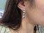 Immagine 11