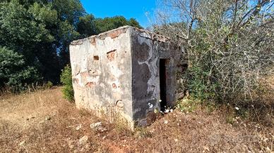 Terreno agricolo