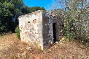 Terreno agricolo