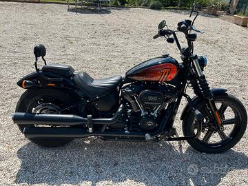 Harley-Davidson Softail Street Bob - 2023