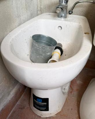 bidet pozzi ginori