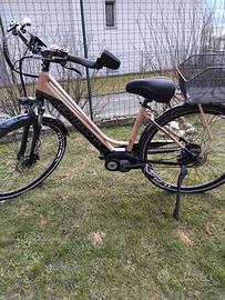 Bicicletta elettrica