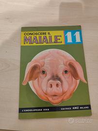 Raro Libro Vintage "Conoscere il Maiale" (1970)