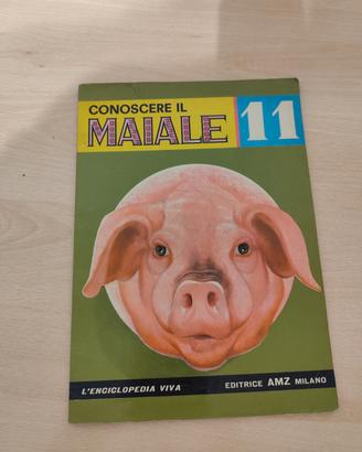 Raro Libro Vintage "Conoscere il Maiale" (1970)