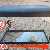 Acquario 60lt usato+riscaldatore 50w