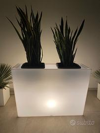 Vasi luminosi da esterno ed interno