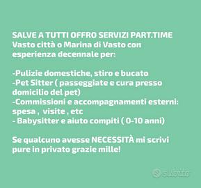 Addetta assistenza